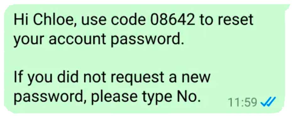WhatsApp Authentication Conversation